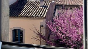 On aperçoit des toits recouverts de tuiles en terre cuite et un arbre en fleurs aux teintes roses.