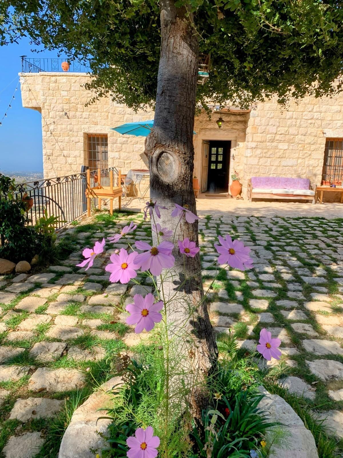 A stone building with a tree in the foreground, a patio area with a table and chairs, and a view of the sea.