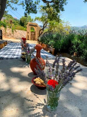 Jardines del alojamiento