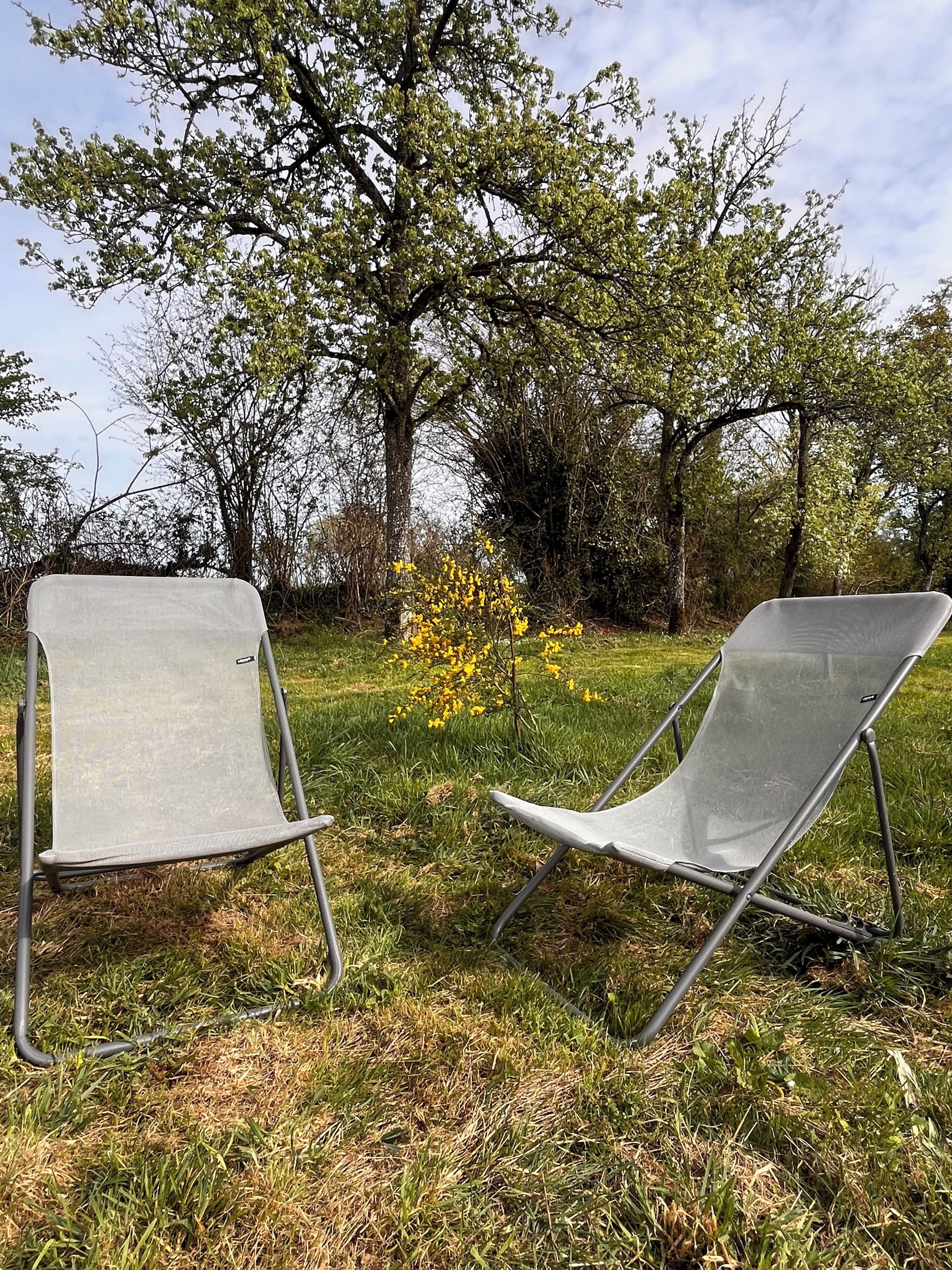 Two metal chairs in a grassy outdoor area with trees and yellow flowers in the background.