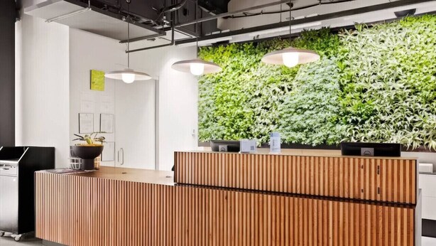 Un mostrador de recepción con diseño de paneles de madera verticales, una pared verde con plantas e iluminación colgante.