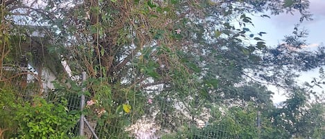 Terrain de lâhĂ©bergement