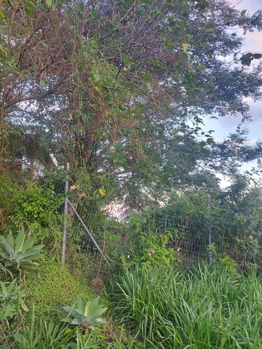 Casa Mini Pousada Refúgio do Campo in Chapecó-Santa Catarina.
