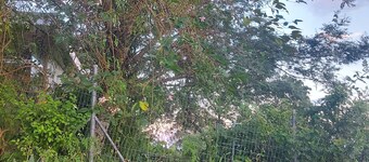 Casa Mini Pousada Refúgio do Campo in Chapecó-Santa Catarina.