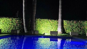 A nighttime swimming pool with two palm trees and a hedge in the background.