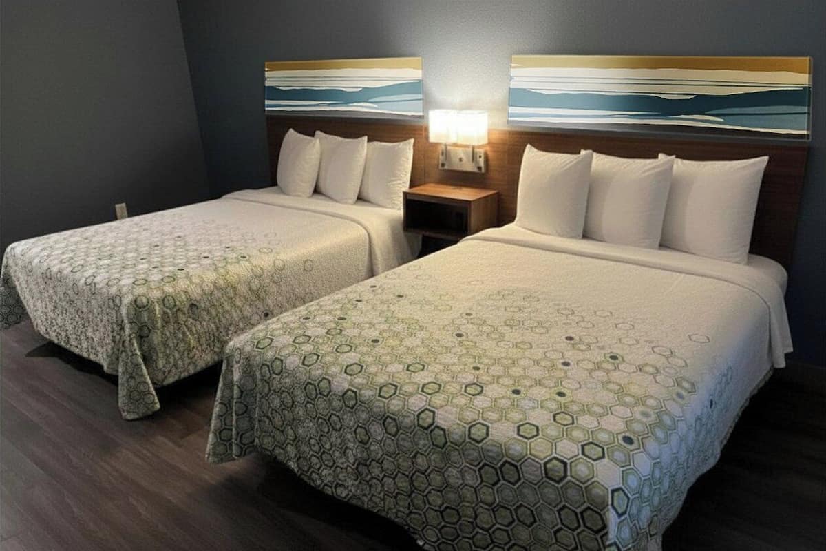 Blackout drapes, iron/ironing board, free cribs/infant beds