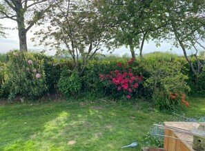 A garden with various plants and a bird feeder. - Honeysuckle Rise (Looe)