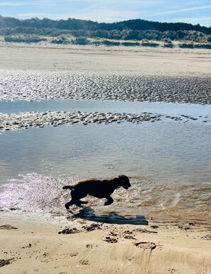 Beach - Mablethorpe Lodge - Sleeps 6 - Dog Friendly (Mablethorpe)