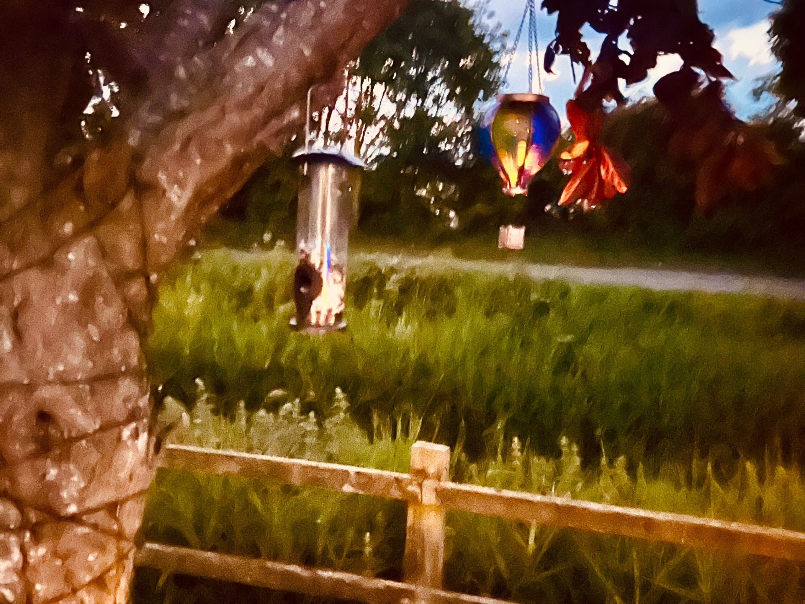 Un jardin avec une clôture en bois, une mangeoire à oiseaux en métal et une lanterne suspendue.