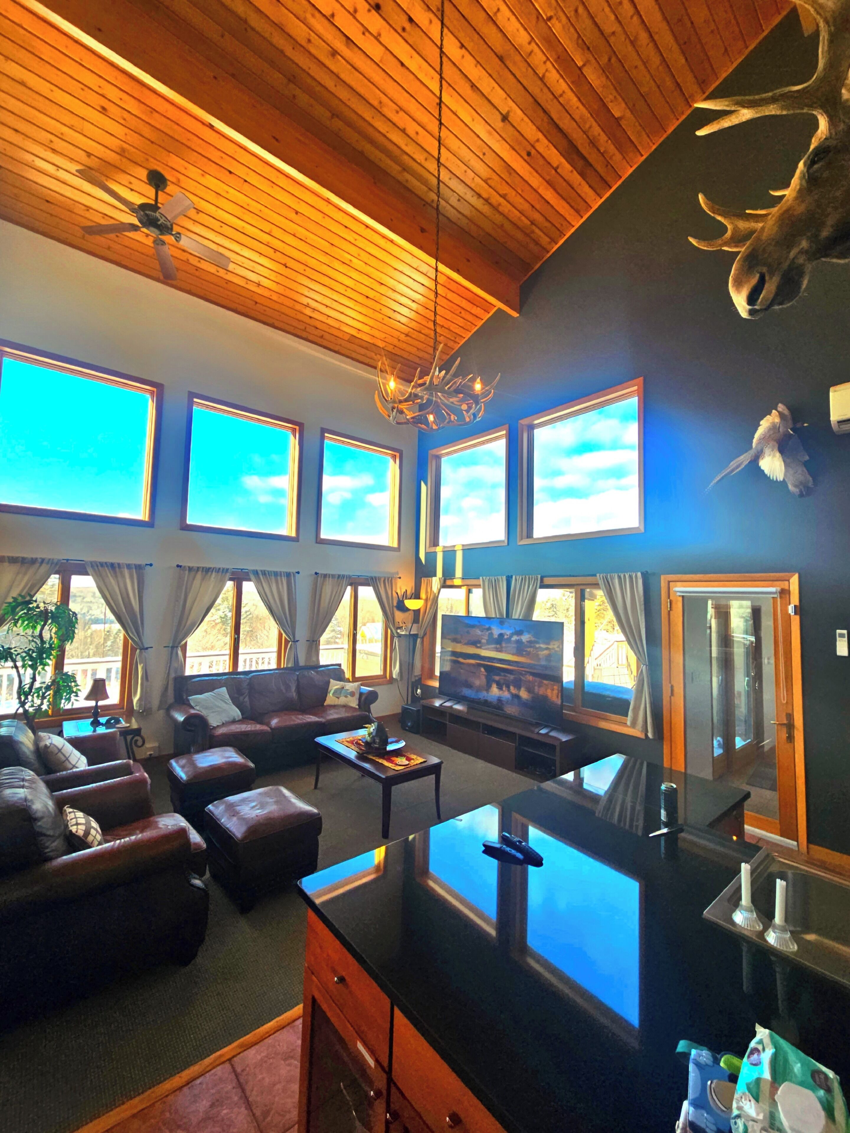 TV, fireplace, video games, DVD player