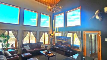 TV, fireplace, video games, DVD player