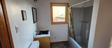 Een kleine badkamer met toilet, wastafel en douche.