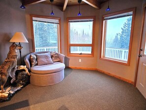 TV, fireplace, video games, DVD player
