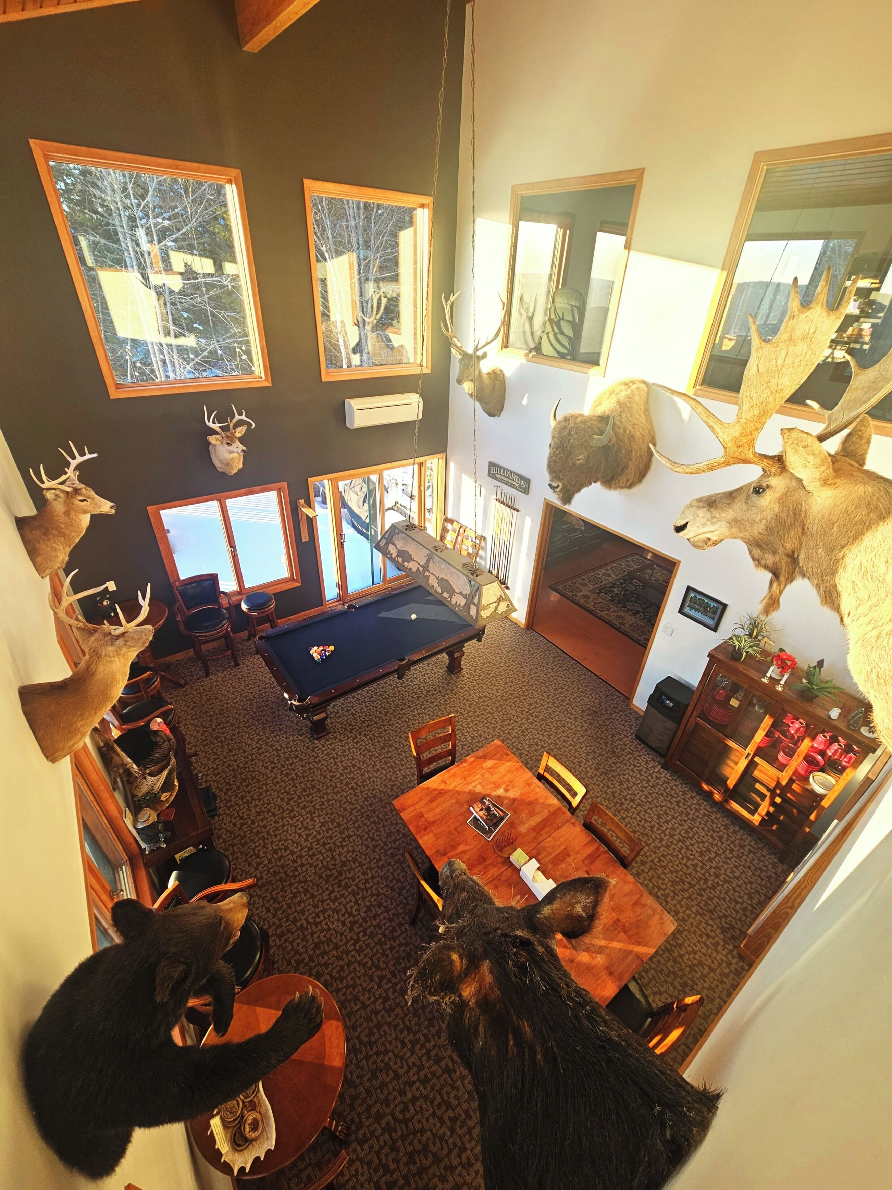 A room with a pool table, chairs, and various mounted animal heads on the walls.