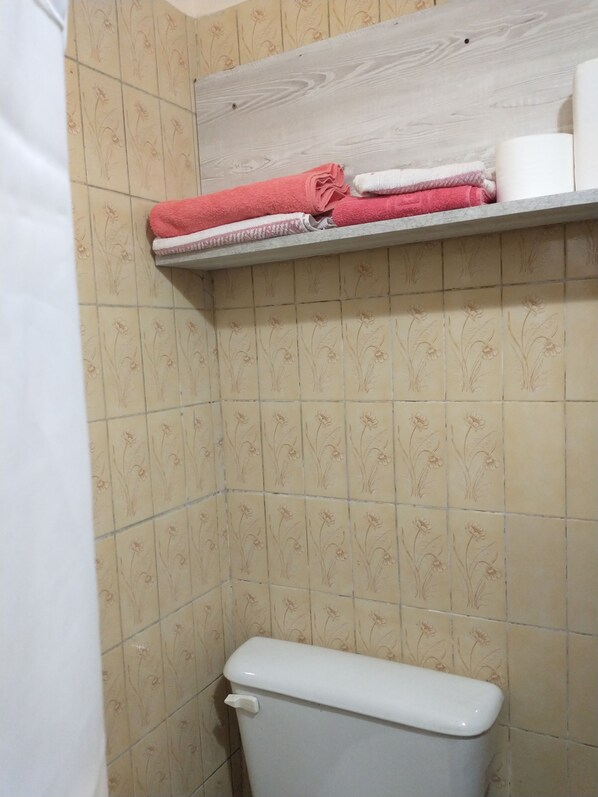 Dusche, Haartrockner, Handtücher, Seife