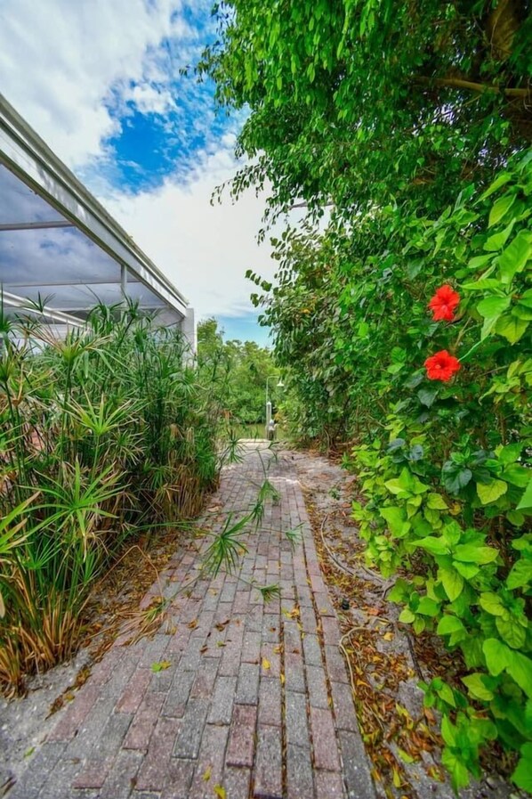 A paved pathway leading to a building with a glass facade, surrounded by lush greenery and red flowers.