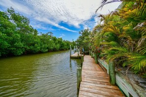 Un muelle de madera que se adentra en un río rodeado de abundante vegetación.