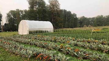 Enceinte de lâhĂ©bergement