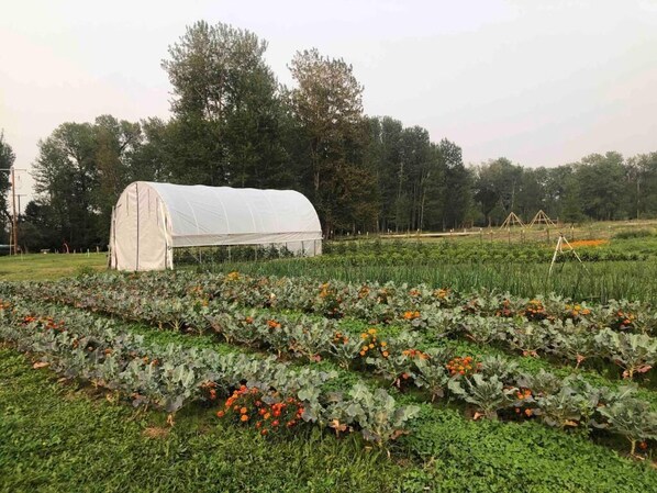 숙박 시설 구내