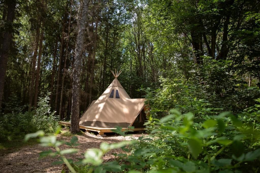 A forested area with a single tent set up on a wooden platform.