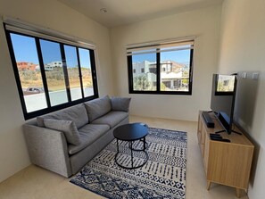 A modern living room with a grey sofa, a black coffee table, a patterned rug, a wooden cabinet, and a TV on a stand. - BRIGHT & COZY 1 KING SIZE BDRM CASITA WITH QUEEN SLEEPER IN LOVELY EL PESCADERO (El Pescadero)