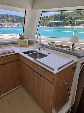 A compact kitchen with two sinks, wooden cabinets, a window with a view of a beach and water, and a small potted plant.