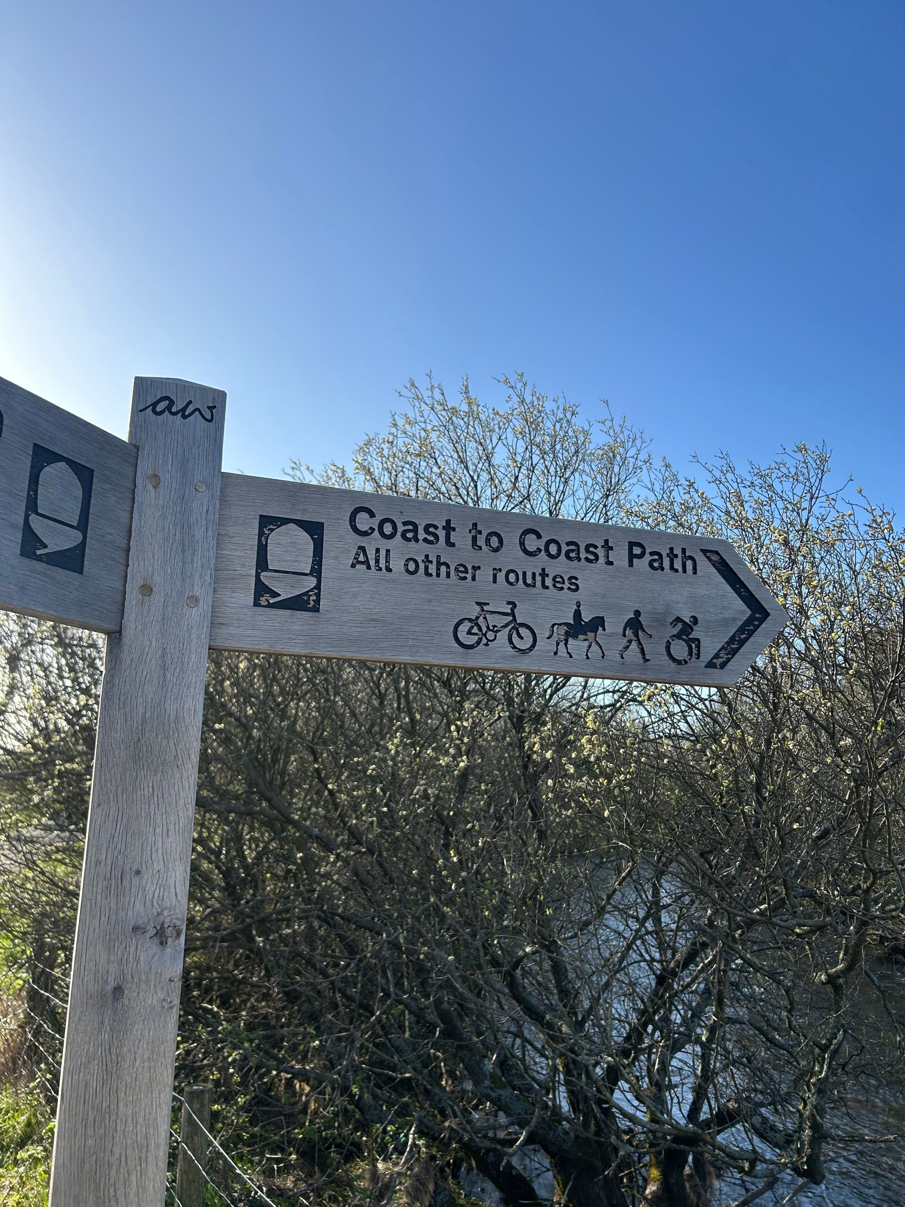 A wooden directional signpost with symbols for a coastal path and other routes, surrounded by trees.
