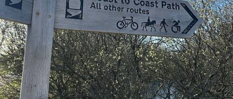 A wooden directional signpost with symbols for a coastal path and other routes, surrounded by trees.