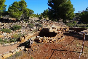 Un sitio arqueológico rocoso con estructuras de piedra y árboles.