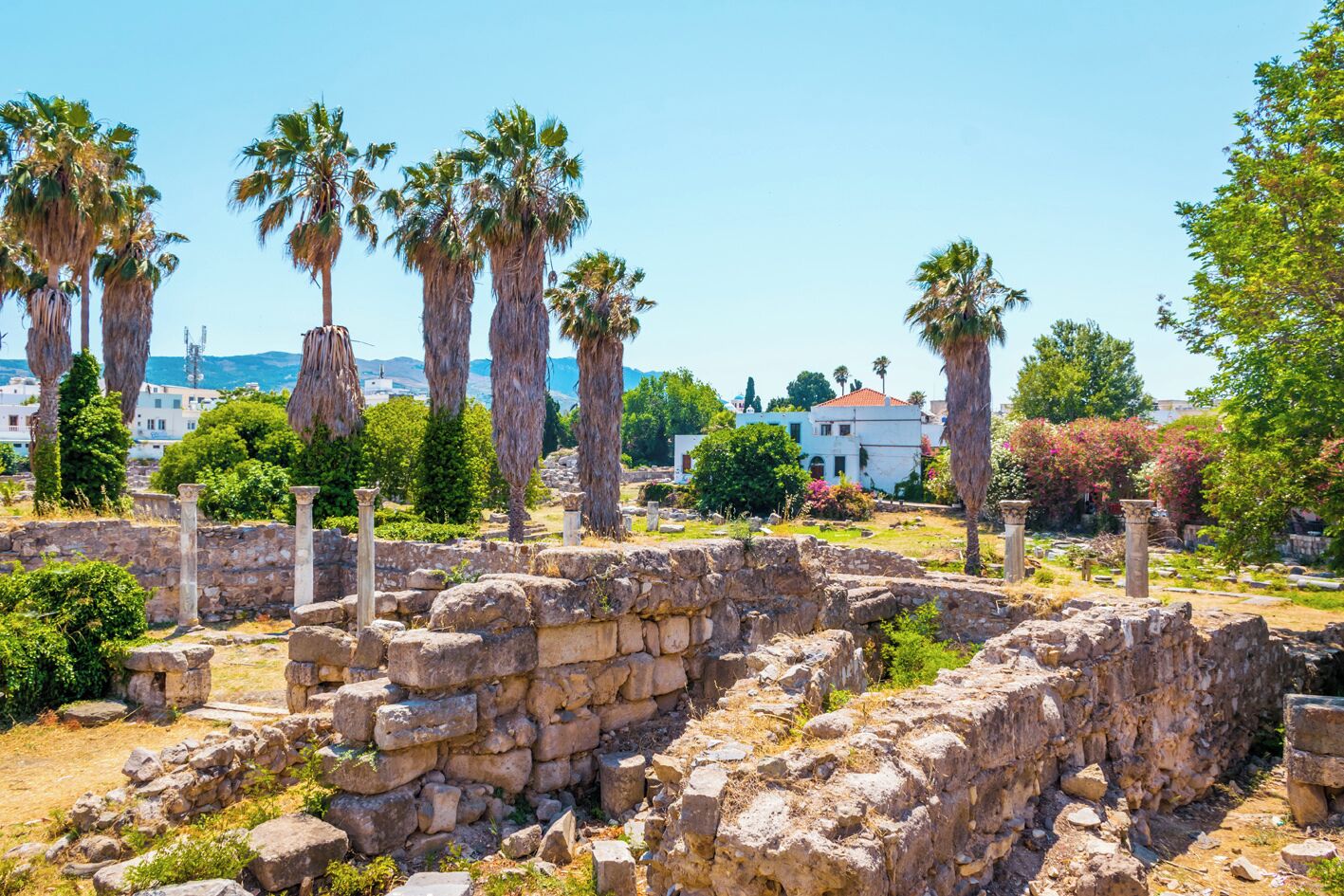 Des ruines antiques, avec des colonnes et des murs en pierre, entourées de verdure et de palmiers.