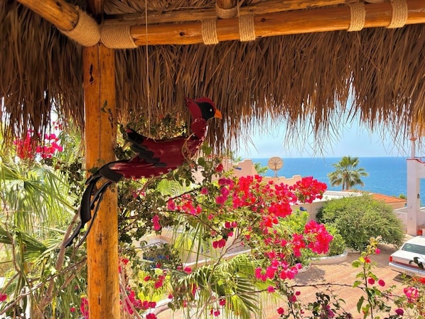 Een vogel zit op een houten constructie met uitzicht op zee en roze bloemen.
