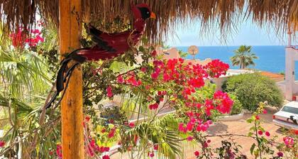 Panoramic Ocean Views from Every Room – Private Pool & Garden Retreat