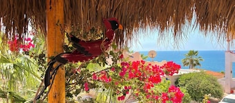 Panoramic Ocean Views from Every Room – Private Pool & Garden Retreat