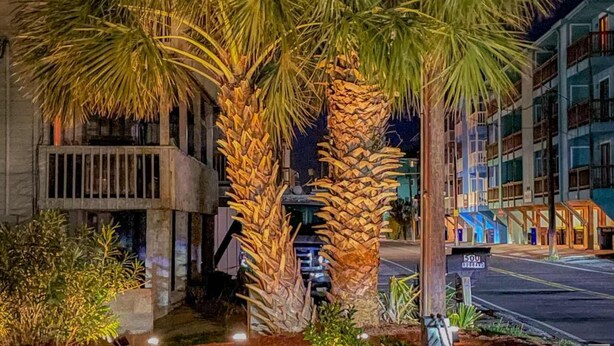A nighttime view of a street with palm trees and a building with balconies. - The Scallop (Carolina Beach)