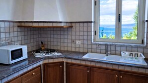 Keittiössä on mikroaaltouuni, liesi, pesuallas ja puiset kaapit.