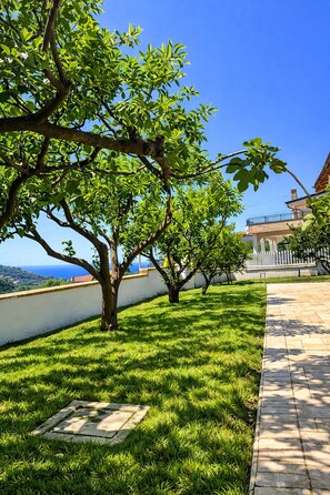 Un área verde bien cuidada con un sendero de piedra, un árbol y un edificio con balcón al fondo.