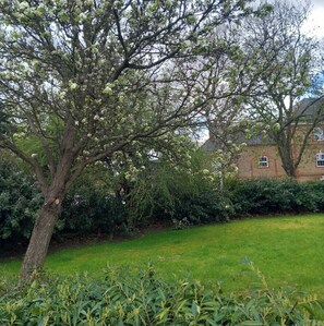 Property grounds - Welcome to Highland Village 
We’re delighted to host you! (London)