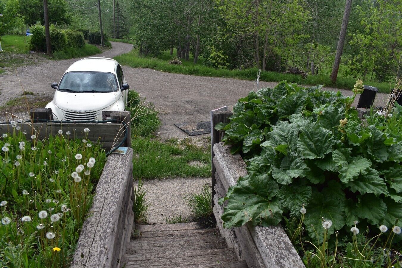 A car parked at the top of a gravel path leading to a wooden staircase surrounded by greenery.
