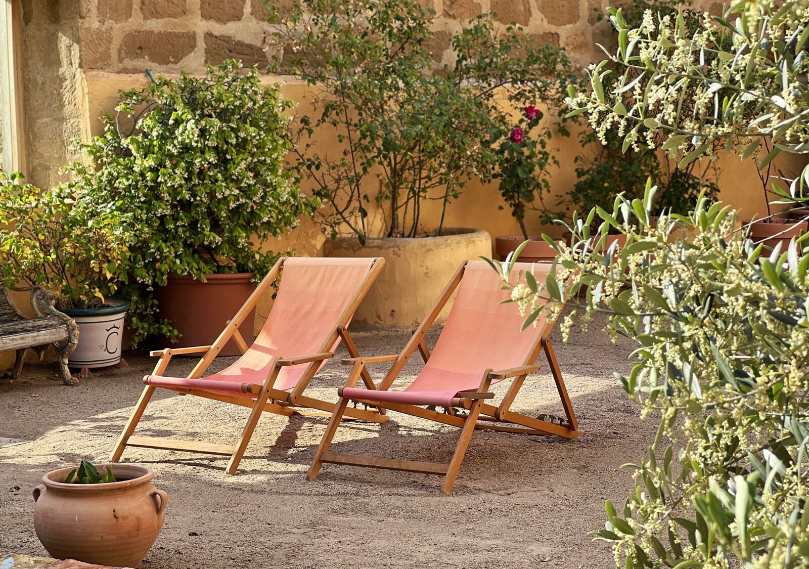 Terrein van de accommodatie