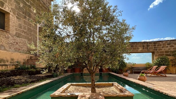 A swimming pool with a tree in the center, surrounded by stone walls and potted plants. - Castillo de Corvinos (Albero Alto)