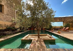 Una piscina con un árbol en el centro, rodeada de muros de piedra y plantas en macetas.