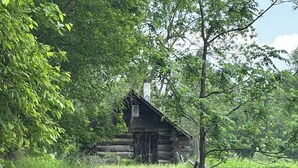 Ein rustikales Blockhaus, umgeben von üppigem Grün.