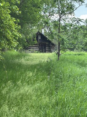 A rustic log cabin surrounded by lush greenery. - Lodge Guest Country Home - Forest Bathers Delight. Close to Many trails! (Everett)