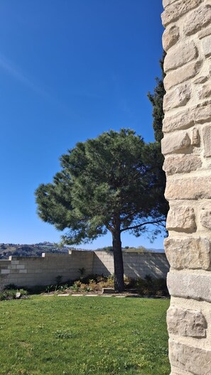 Property grounds - Maison Lagerstroemie -Exclusive Villa with Private Pool in Le Marche, Filottrano (Filottrano)