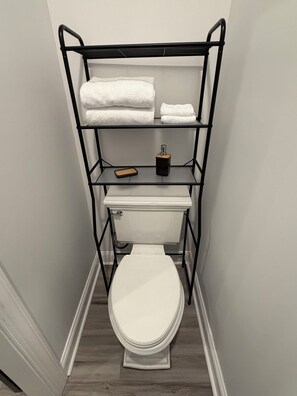 Hair dryer, towels, soap, toilet paper