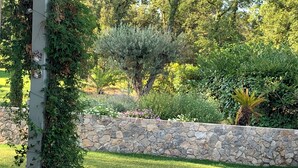Un muro de piedra, una zona cubierta de césped y diversas plantas.