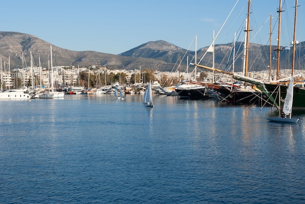 A marina with sailboats, a sailboat with a person on board, and a cityscape with mountains in the background.