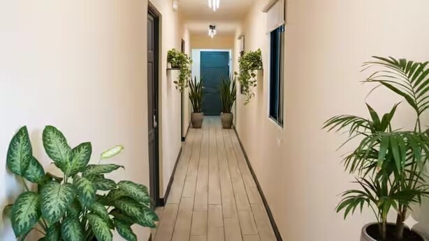 Un pasillo con plantas en macetas, una puerta al final y una lámpara en el techo.