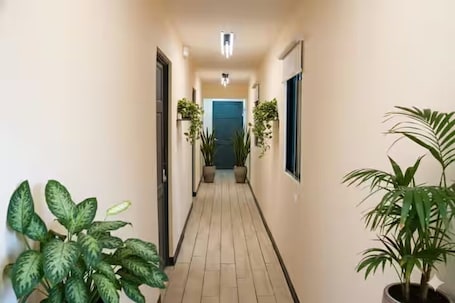 Interior. #3 Boutique Hotel 4 Rooms Room