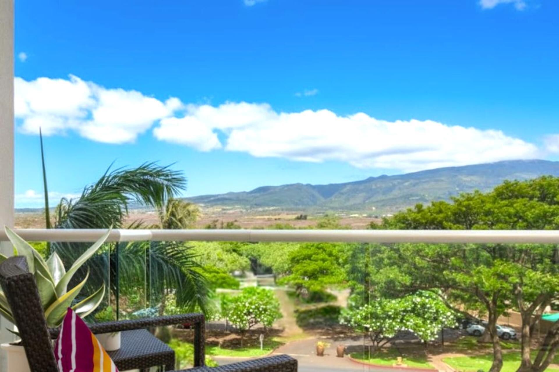 Vista desde la habitación